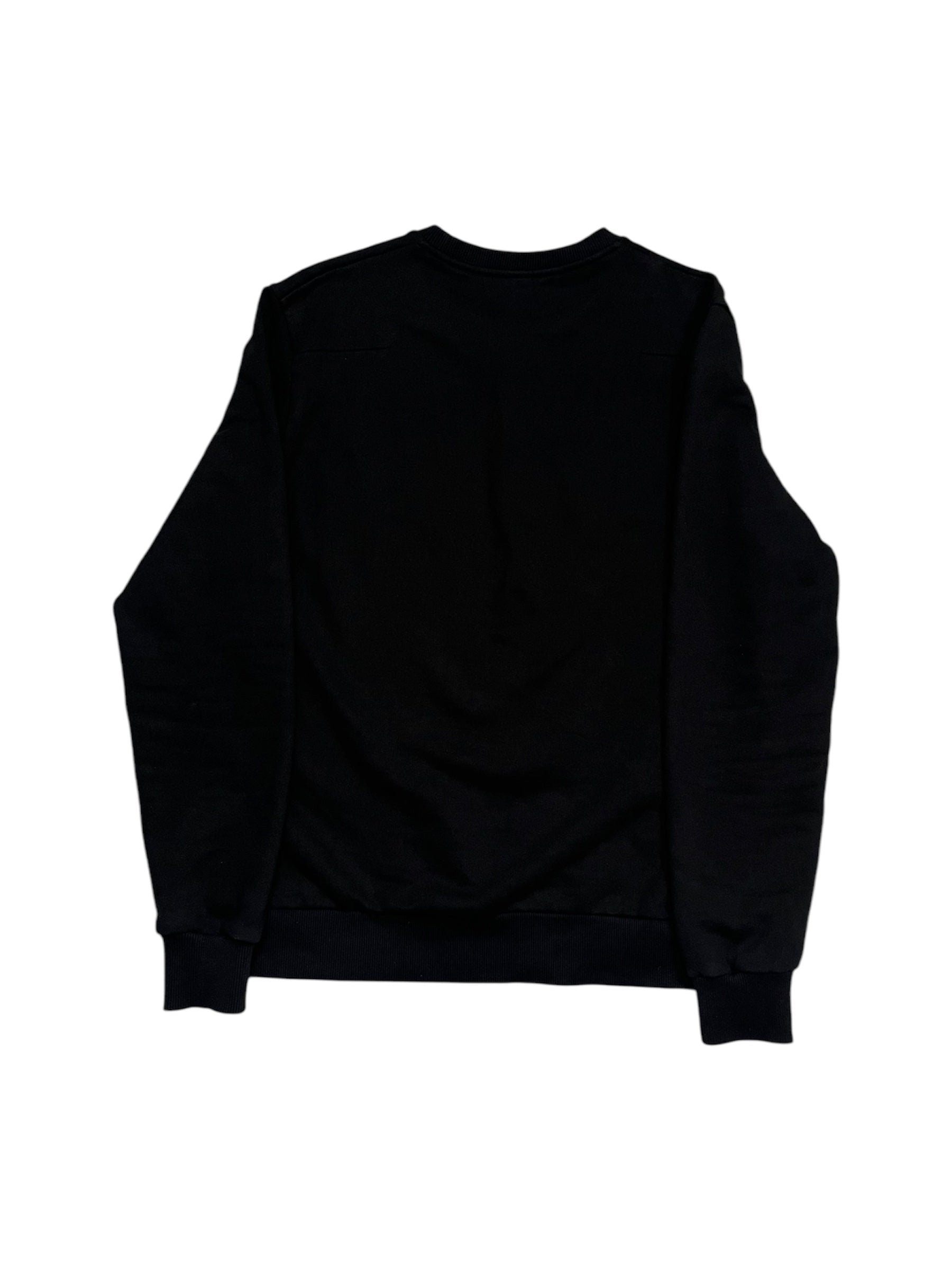 Dior X Kaws Sweatshirt